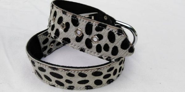 Speciale set van halsband en riem van koeienhuid - Afbeelding 2