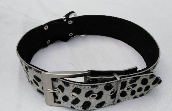 Speciale set van halsband en riem van koeienhuid