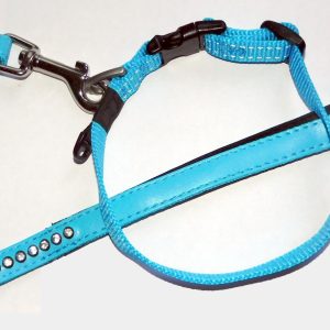 Hetty'S - Aqua-Blauwe hondenhalsband + lange looplijn - met veel bling -