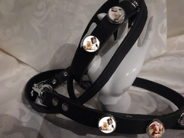 Hetty'S - Stoere set - van hondenhalsband en looplijn - met verwisselbare chunks - Afbeelding 12