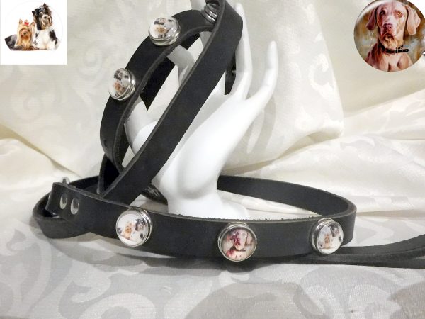 Hetty'S - Stoere set - van hondenhalsband en looplijn - met verwisselbare chunks - Afbeelding 9