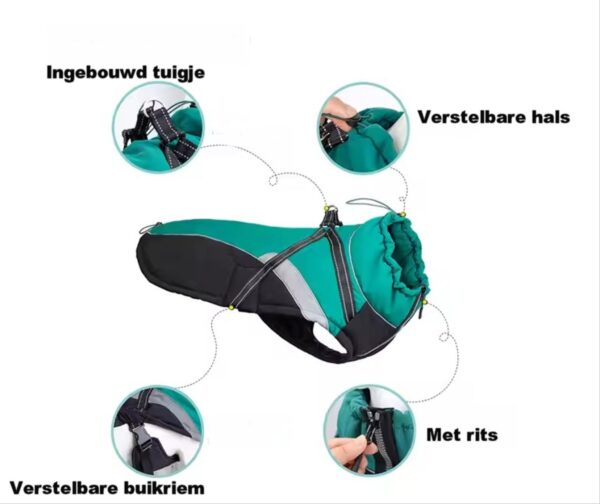 Stoere hondenjas  Groen met zwart  Gewatteerd Waterdicht Met ingebouwd tuigje - Maat L - - Afbeelding 2