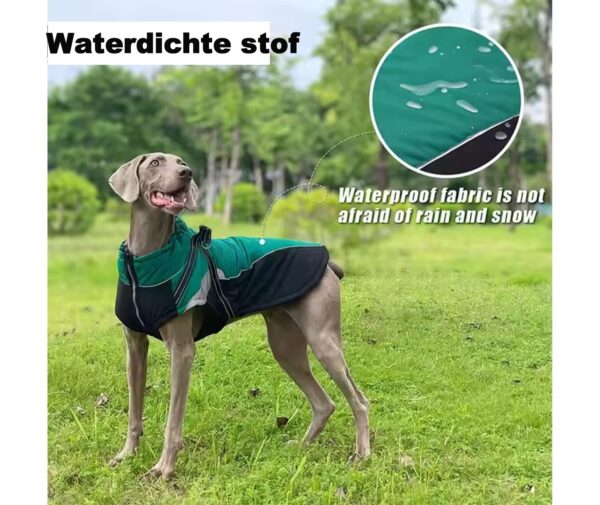 Stoere hondenjas  Groen met zwart  Gewatteerd Waterdicht Met ingebouwd tuigje - Maat L - - Afbeelding 3