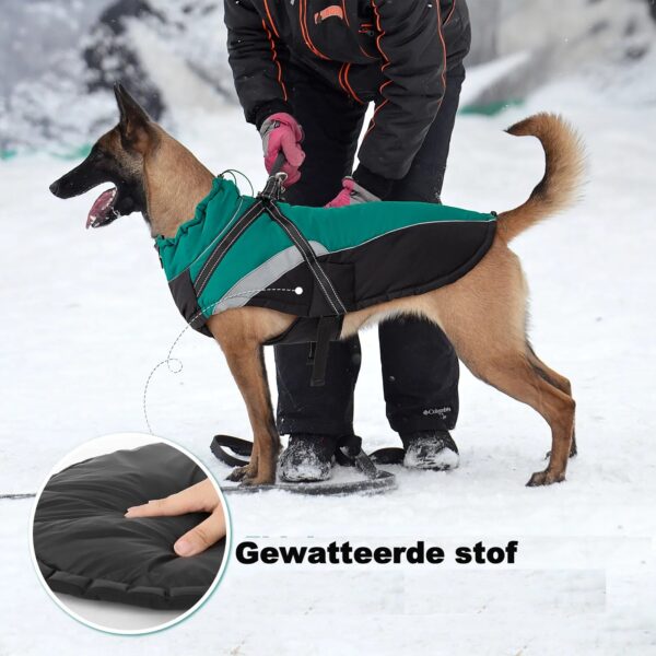 Stoere hondenjas  Groen met zwart  Gewatteerd Waterdicht Met ingebouwd tuigje - Maat L - - Afbeelding 4