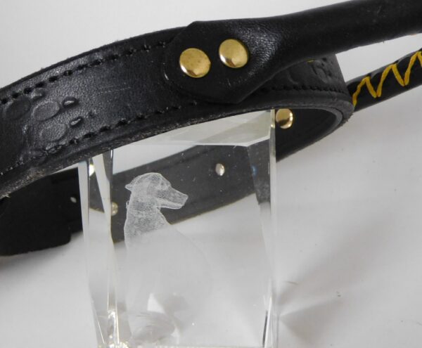 Hetty'S - Stoere hondenhalsband - Maat M - kleur zwart - Met handgreep - Afbeelding 4