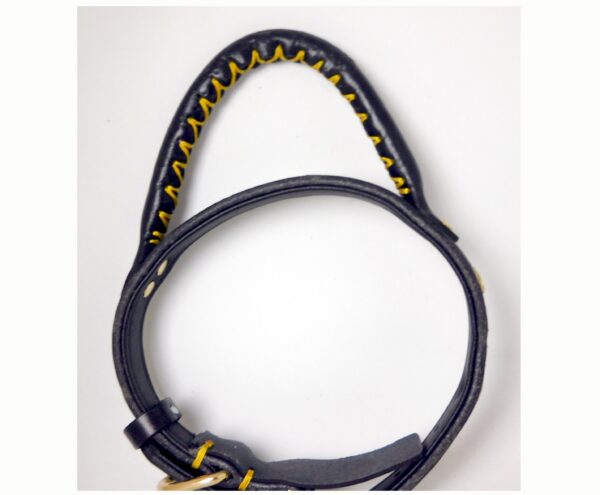 Hetty'S - Stoere hondenhalsband - Maat M - kleur zwart - Met handgreep - Afbeelding 5