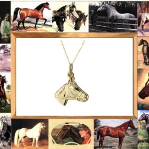 Hetty'S - 14 karaat gouden paardenhoofd + 14 karaat gouden gourmet collier van 45 cm