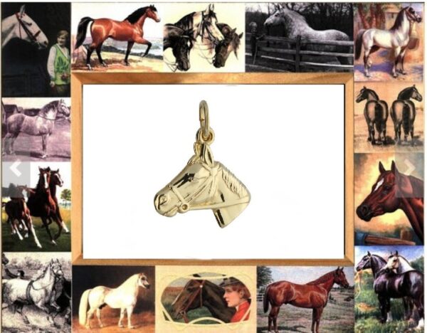 Hetty'S - 14 karaat gouden paardenhoofd + 14 karaat gouden gourmet collier van 45 cm - Afbeelding 2