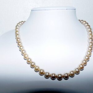 Shell based - Licht Goudkleurig parelcollier - lang 42 cm - 8 mm breed - zilver bolslot